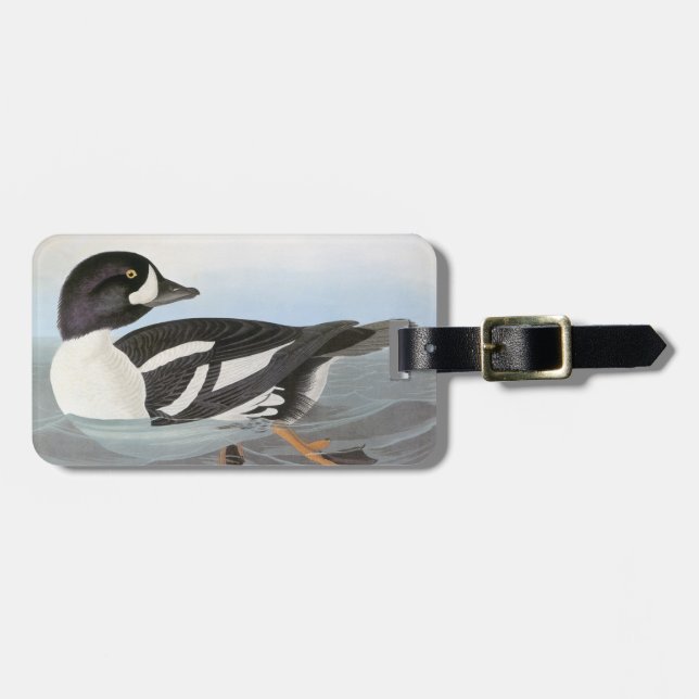 Audubon: Barrows Goldeneye Bagagebricka (Horisontell Framsida)