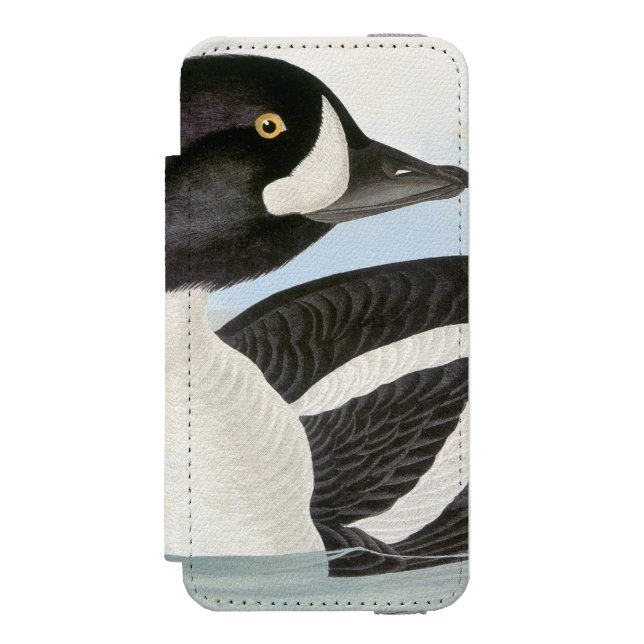 Audubon: Barrows Goldeneye Incipio iPhone Wallet Skal (Folio Framsidan)