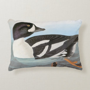 Audubon: Barrows Goldeneye Prydnadskudde