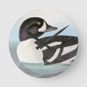 Audubon: Barrows Goldeneye Rund Klocka