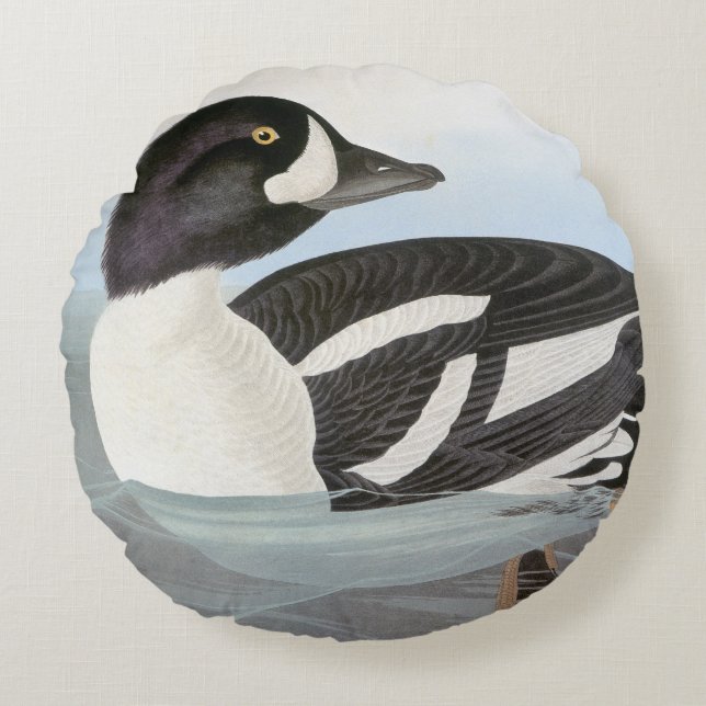Audubon: Barrows Goldeneye Rund Kudde (Framsidan)