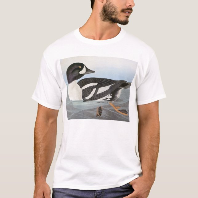 Audubon: Barrows Goldeneye Tröja (Framsida)
