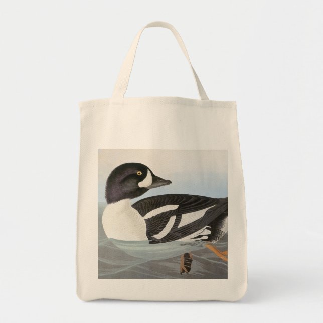 Audubon: Barrows Goldeneye Tygkasse (Framsidan)