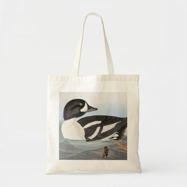 Audubon: Barrows Goldeneye Tygkasse (Framsidan)