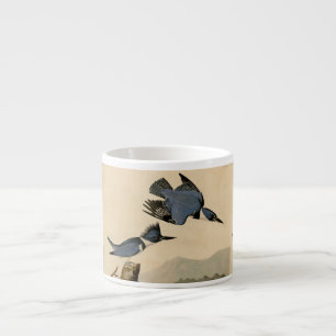 Audubon Belted Kingfisher Wildlife Bird Espressomugg