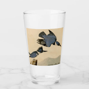 Audubon Belted Kingfisher Wildlife Bird Glaskopp