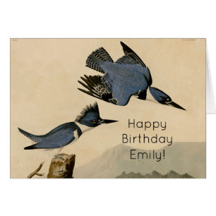Audubon Belted Kingfisher Wildlife Bird Hälsningskort