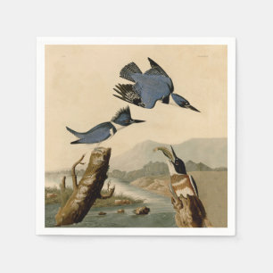 Audubon Belted Kingfisher Wildlife Bird Pappersservett