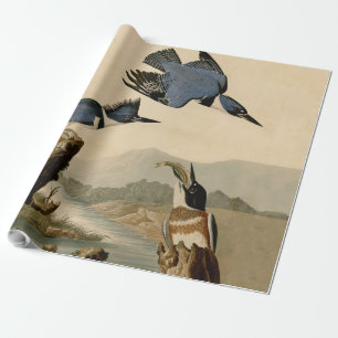 Audubon Belted Kingfisher Wildlife Bird Presentpapper