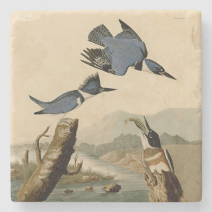Audubon Belted Kingfisher Wildlife Bird Stenunderlägg