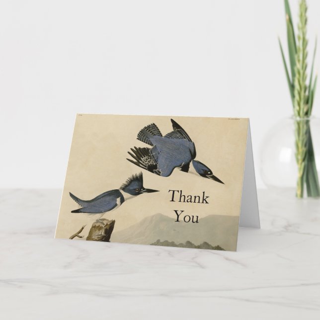 Audubon Belted Kingfisher Wildlife Bird Tack Kort (Framsida)