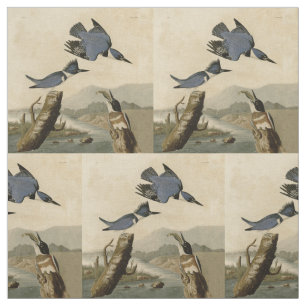 Audubon Belted Kingfisher Wildlife Bird Tyg