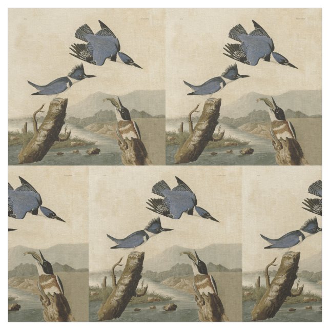Audubon Belted Kingfisher Wildlife Bird Tyg (Provkarta)