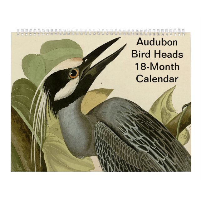 Audubon Bird Head 18 månader Kalender (Omslag)