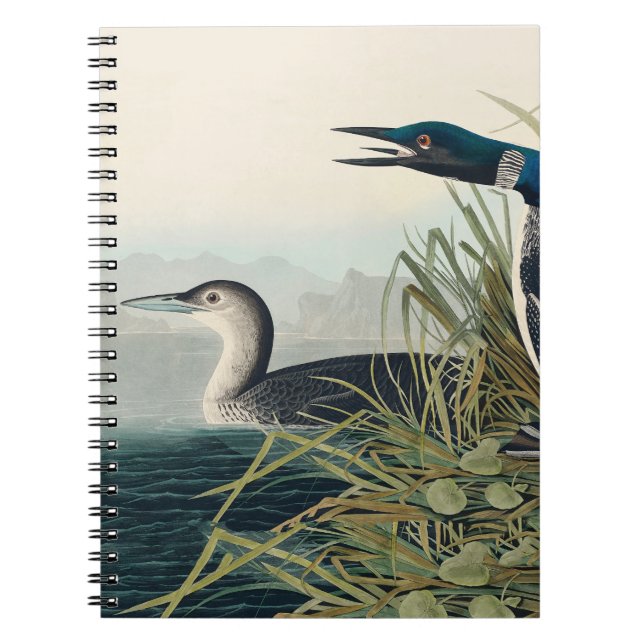 Audubon Bird Loon Diver Classic Anteckningsbok (Framsidan)