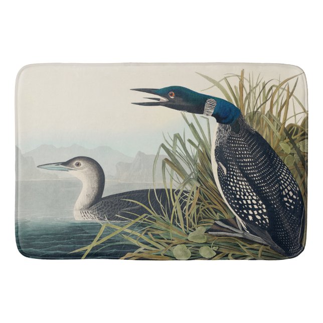 Audubon Bird Loon Diver Classic Badrumsmatta (Framsidan)