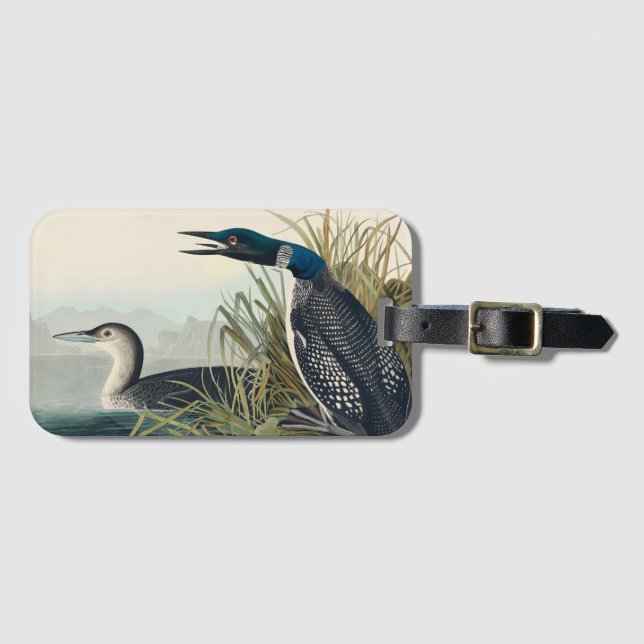 Audubon Bird Loon Diver Classic Bagagebricka (Framsida horisontal)