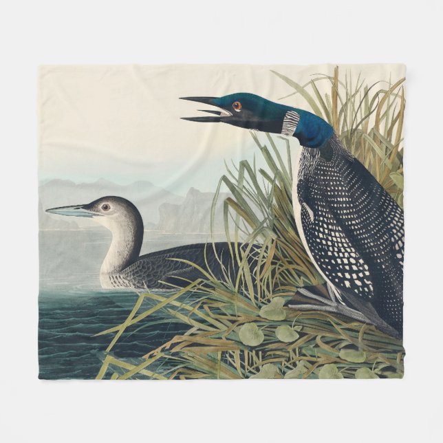Audubon Bird Loon Diver Classic Fleecefilt (Framsidan (Horisontell))