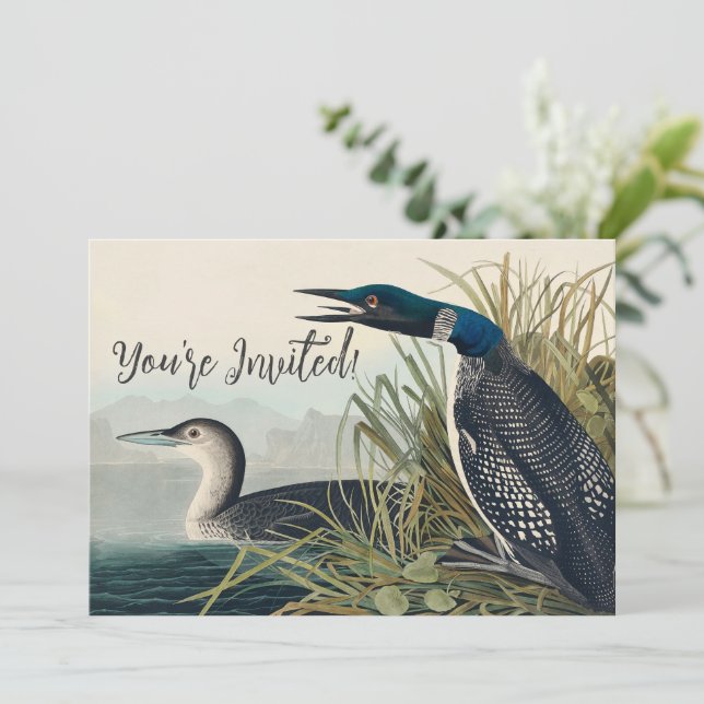 Audubon Bird Loon Diver Classic Inbjudningar (Stående Fram)