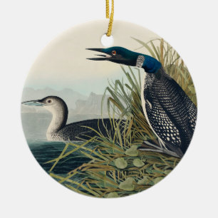 Audubon Bird Loon Diver Classic Julgransprydnad Keramik