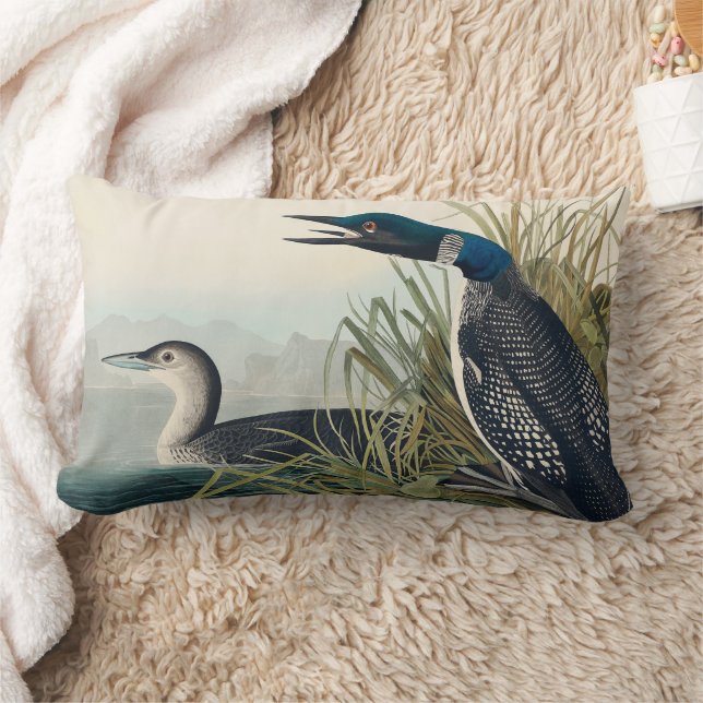 Audubon Bird Loon Diver Classic Lumbarkudde (Filt)