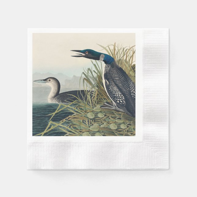 Audubon Bird Loon Diver Classic Pappersservett (Framsidan)