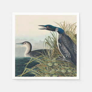 Audubon Bird Loon Diver Classic Pappersservett