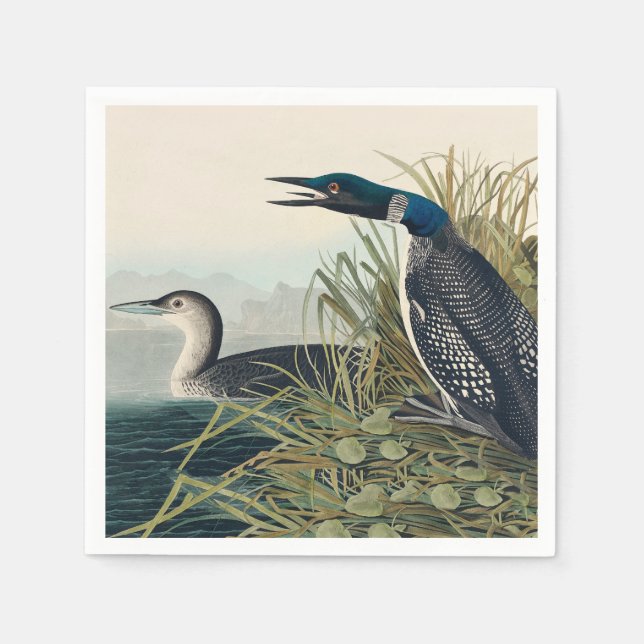 Audubon Bird Loon Diver Classic Pappersservett (Framsidan)