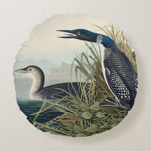 Audubon Bird Loon Diver Classic Rund Kudde (Framsidan)