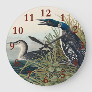 Audubon Bird Loon Diver Classic Stor Klocka
