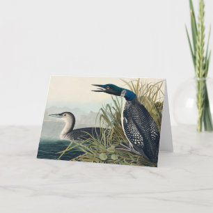 Audubon Bird Loon Diver Classic Tack Kort