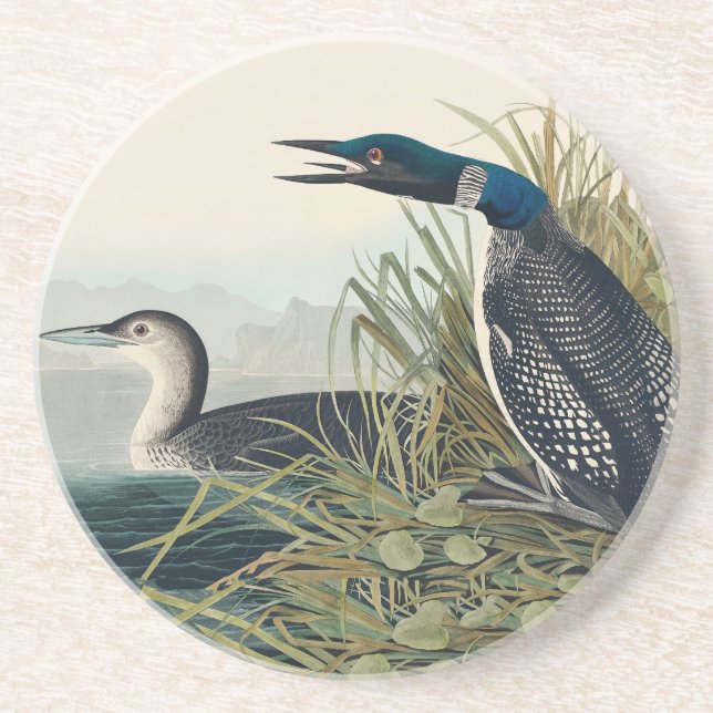 Audubon Bird Loon Diver Classic Underlägg (Framsidan)
