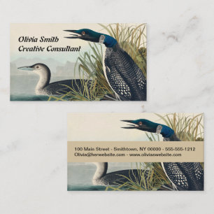 Audubon Bird Loon Diver Classic Visitkort