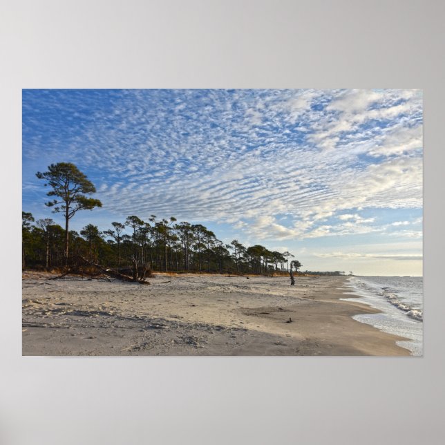 Audubon Bird Refuge Beach, Dauphin Island, Alabama Poster (Framsidan)