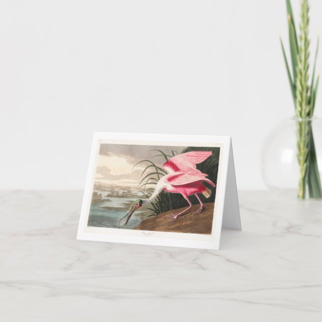 Audubon Birds of America Tack Kort (Framsida)