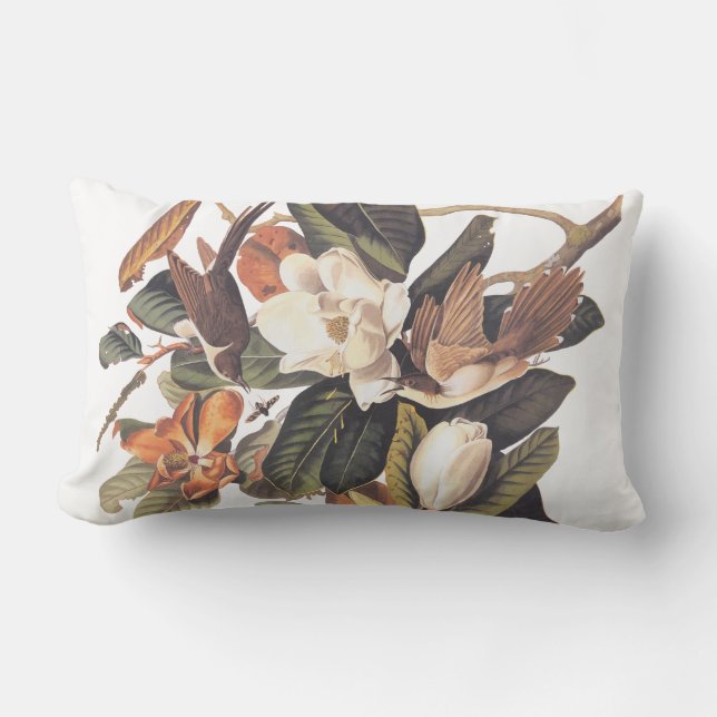 Audubon Black Billed Cuckoo Lumbar Pillow Lumbarkudde (Framsida)