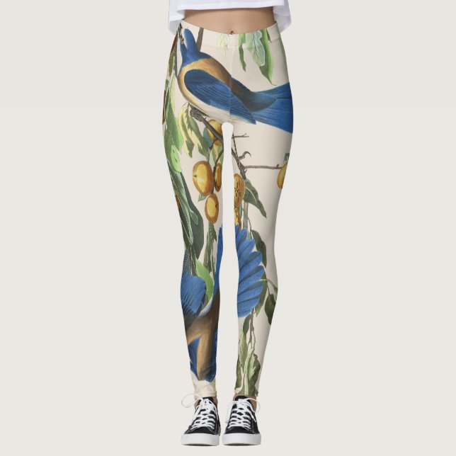Audubon blåttJay fåglar All över tryckdamasker Leggings (Framsida)