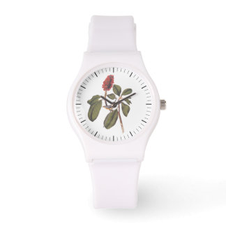 Audubon Bonaparte Flycatcher Songbird och Magnolia Armbandsur