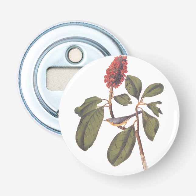 Audubon Bonaparte Flycatcher Songbird och Magnolia Flasköppnare (Framsidan)