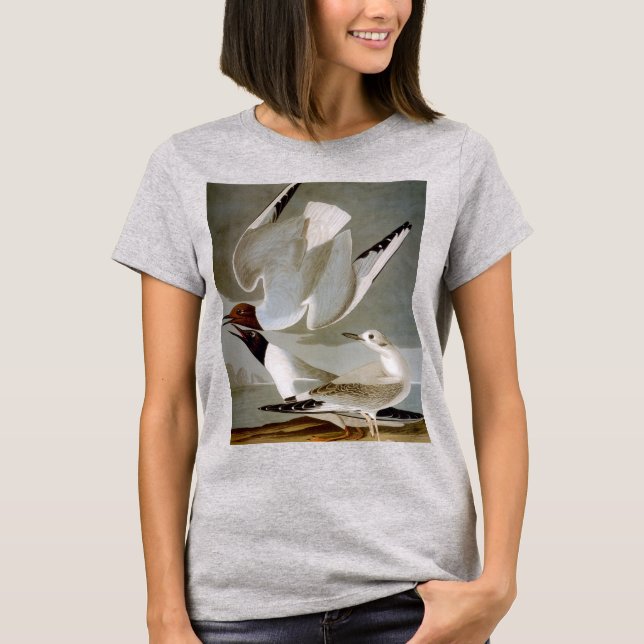 Audubon: Bonapartes fiskmås T-shirt (Framsida)