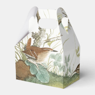 Audubon bygga bo gärdsmygfåglar, djurliv presentaskar