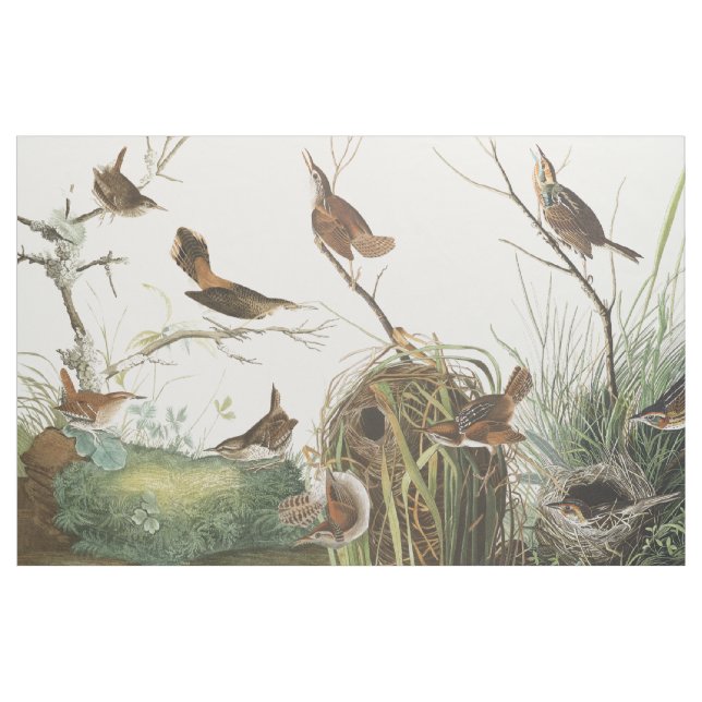Audubon bygga bo tyg för djur för (Yard)