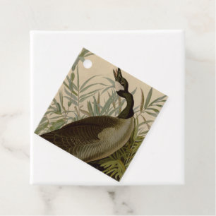 Audubon Canada Goose Wildlife Bird Gåvor Etiketter