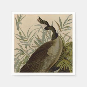 Audubon Canada Goose Wildlife Bird Pappersservett