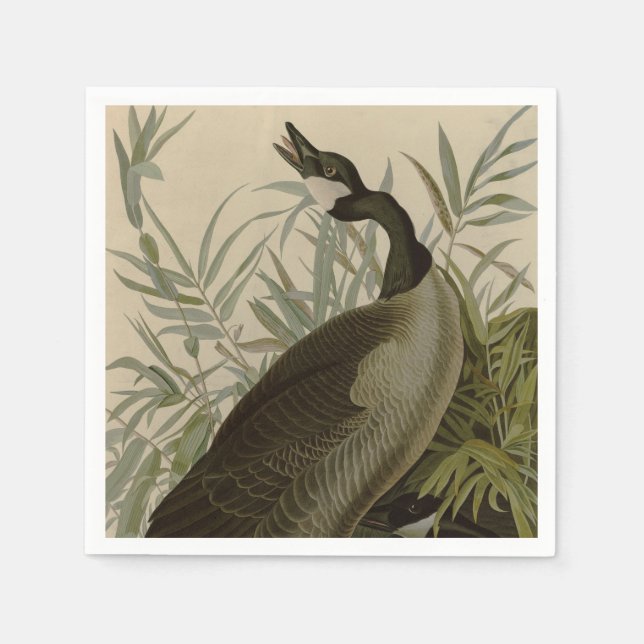 Audubon Canada Goose Wildlife Bird Pappersservett (Framsidan)