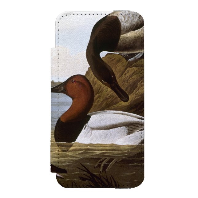 Audubon: Canvasback Incipio iPhone Wallet Skal (Folio Framsidan)