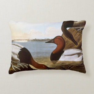 Audubon: Canvasback Prydnadskudde