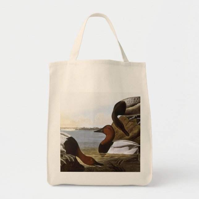 Audubon: Canvasback Tygkasse (Framsidan)