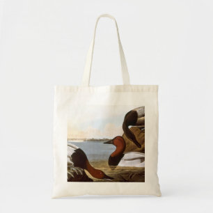 Audubon: Canvasback Tygkasse