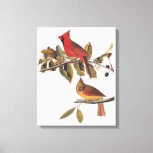 Audubon Cardinal Pair i Vild Almond Träd Canvastryck